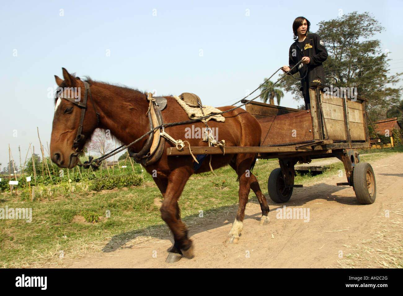 Horse cart pull transportation people ride architecture style colonial