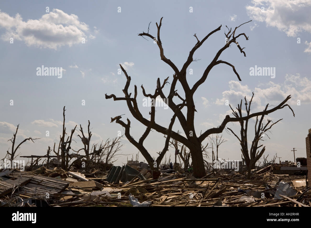 Debarked trees and tornado damage in Greensburg, Kansas, USA, after the
