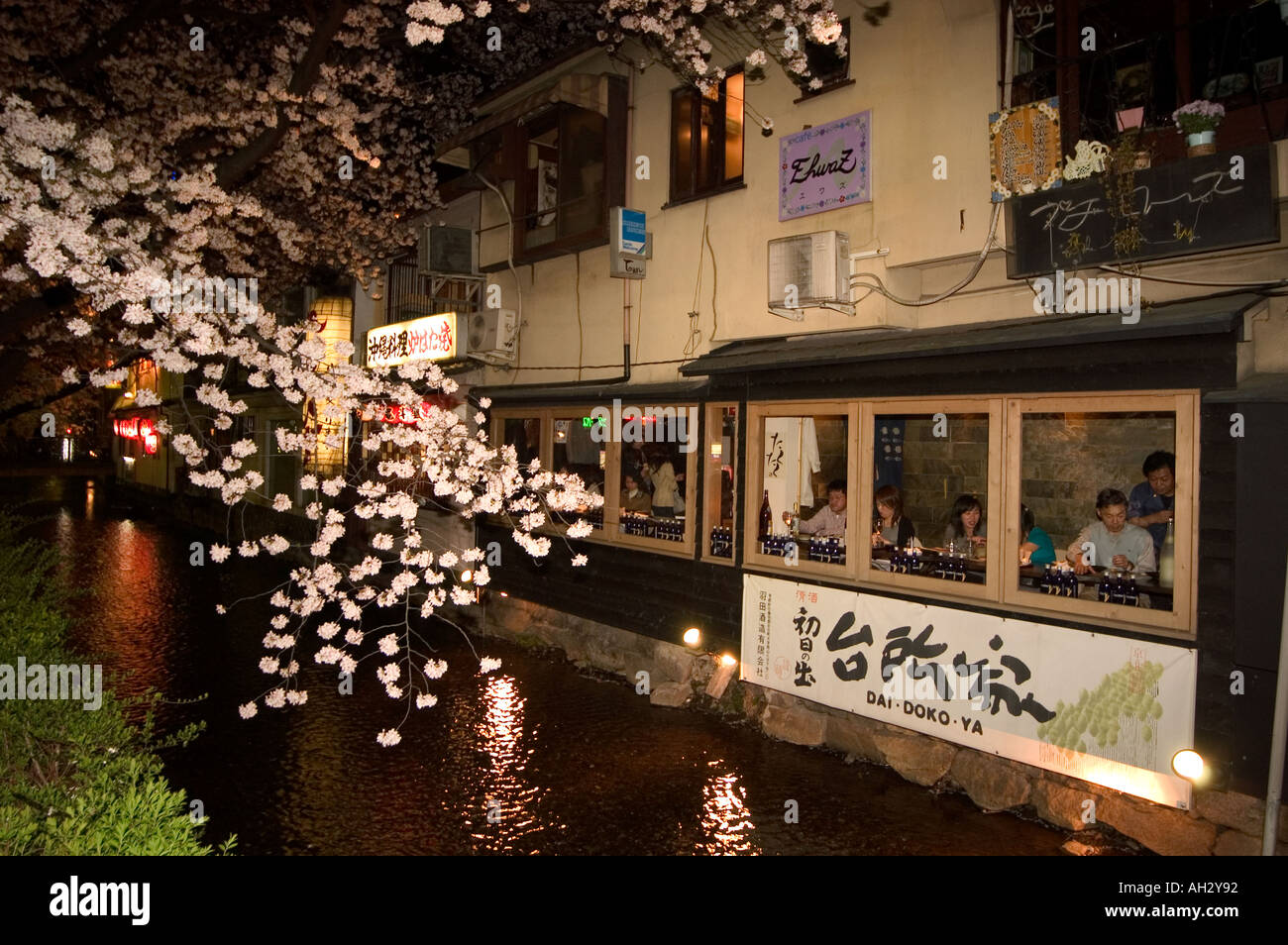 Pontocho Riverside night time riverside cherry blossom and restaurant Pontocho district ...