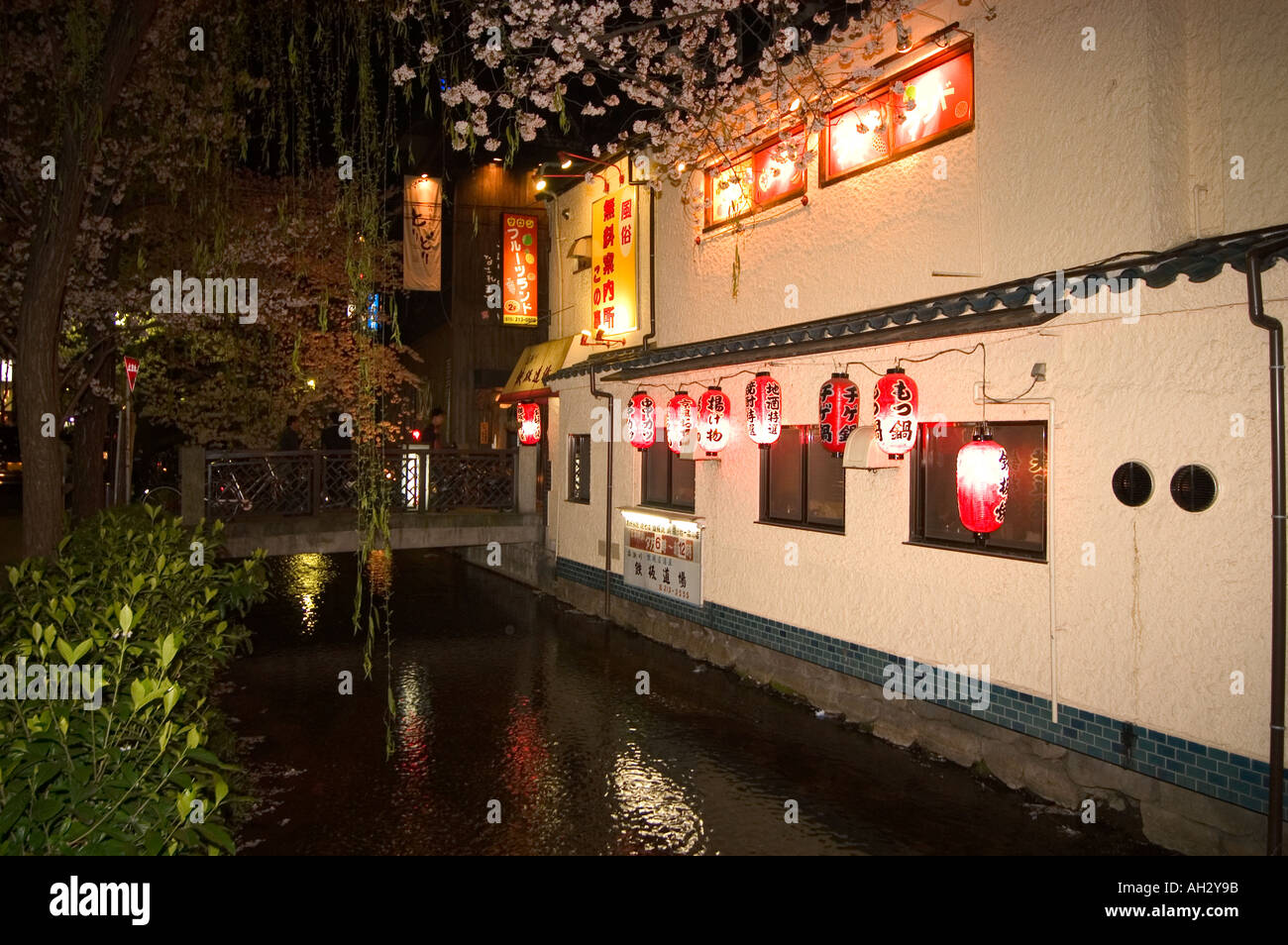Pontocho Riverside night time riverside cherry blossom and restaurant Pontocho district ...