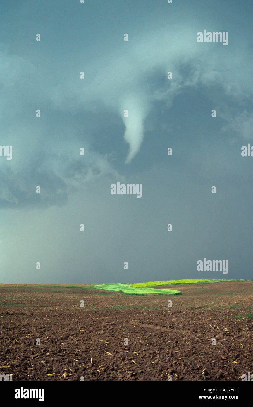 A funnel cloud from a tornadic supercell thunderstorm over a field in Kansas, USA. Stock Photo