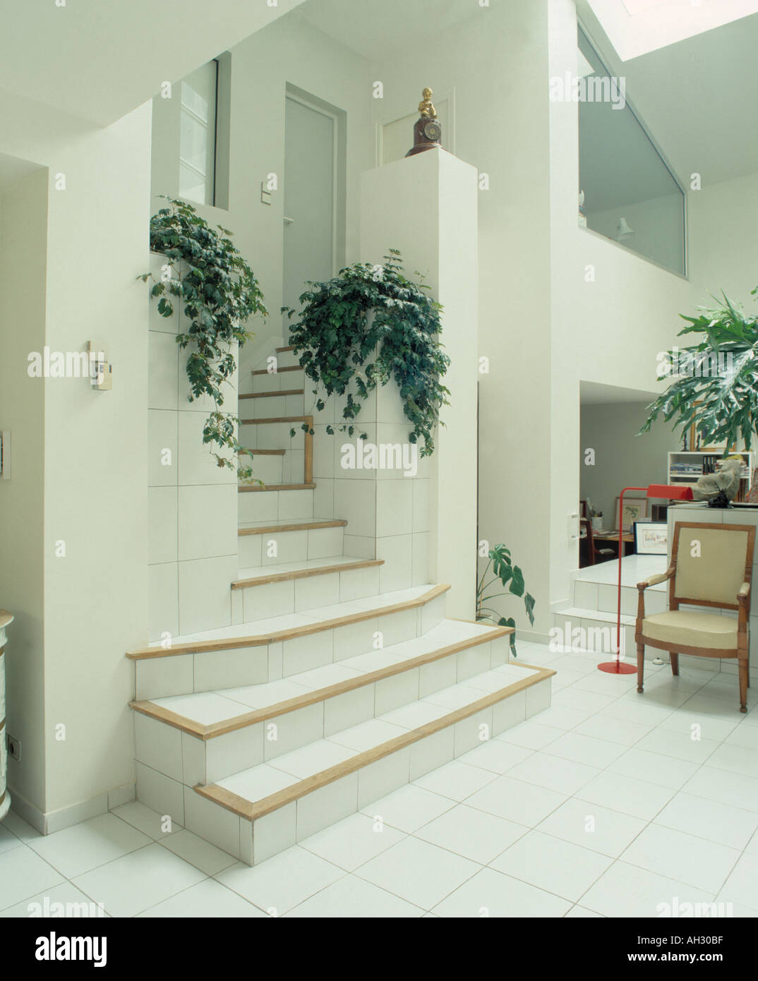 Trailing green plants on wall above white tiled stairs in modern white hall with white-tiled floor Stock Photo