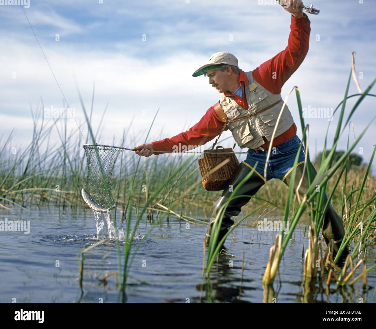 man netting fish on Florida lake Stock Photo