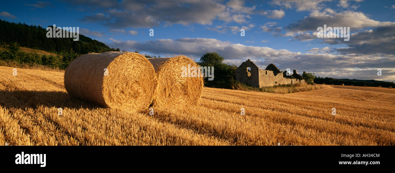 Straw Bales and Ruined Cottage , Fife Stock Photo