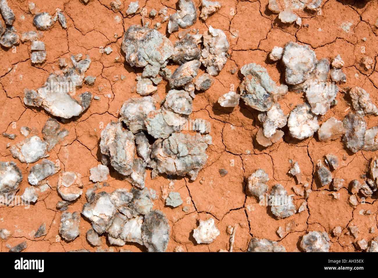 The mineral selenite gypsum in Gloss Mountain State Park Oklahoma Stock Photo