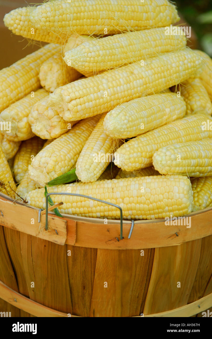 Bushel of corn hires stock photography and images Alamy