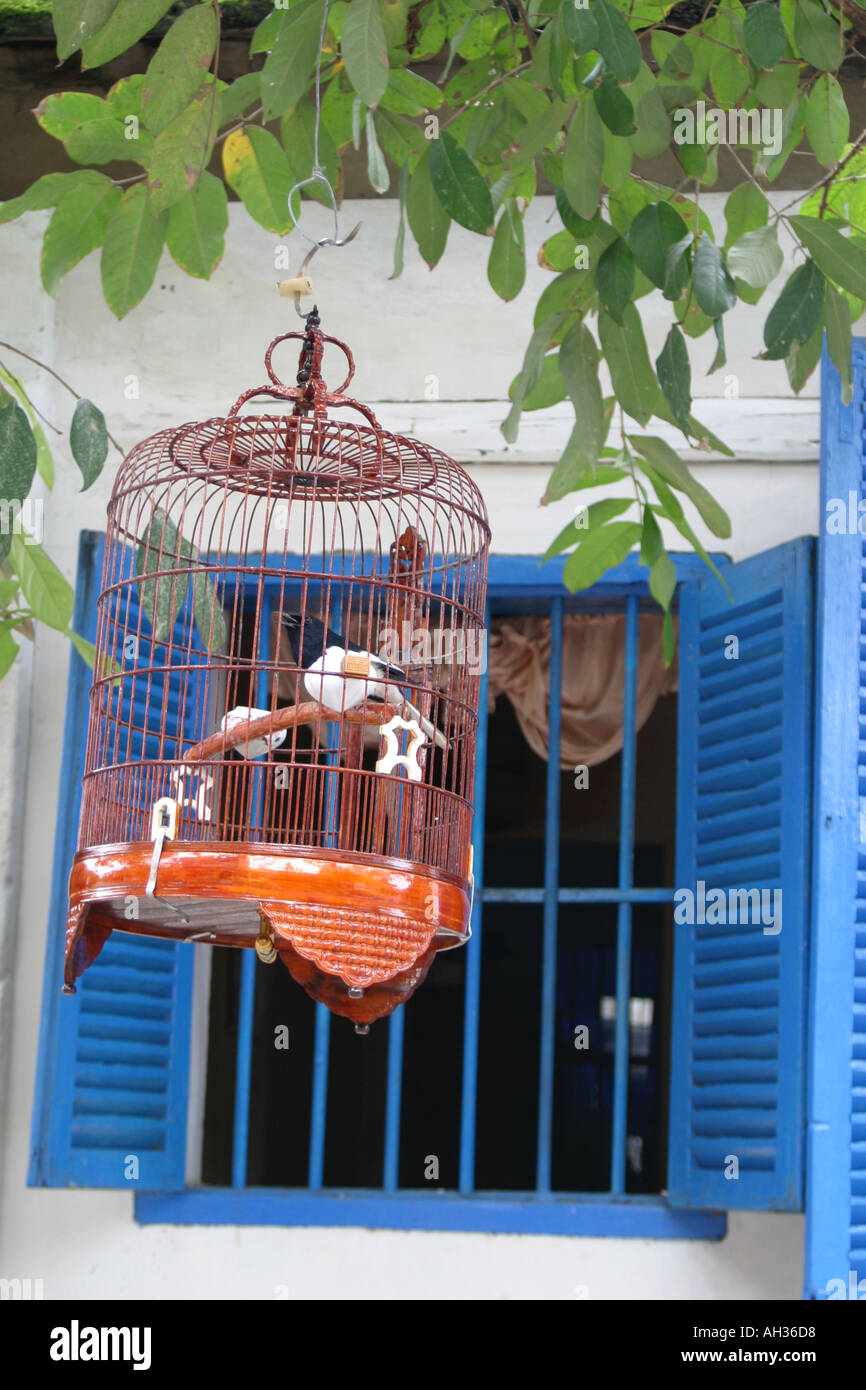 Oriental Birdcage in blue shuttered window Stock Photo