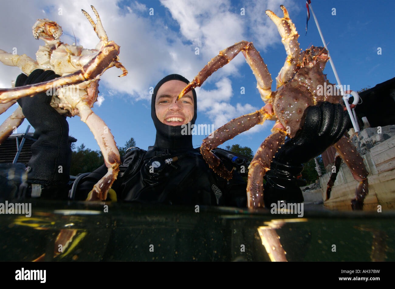 Giant King crabs in Kirkiness Norway Stock Photo