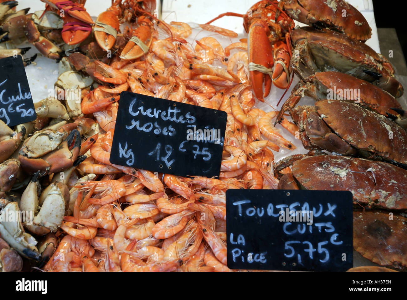 seafood at market with prices displays Stock Photo