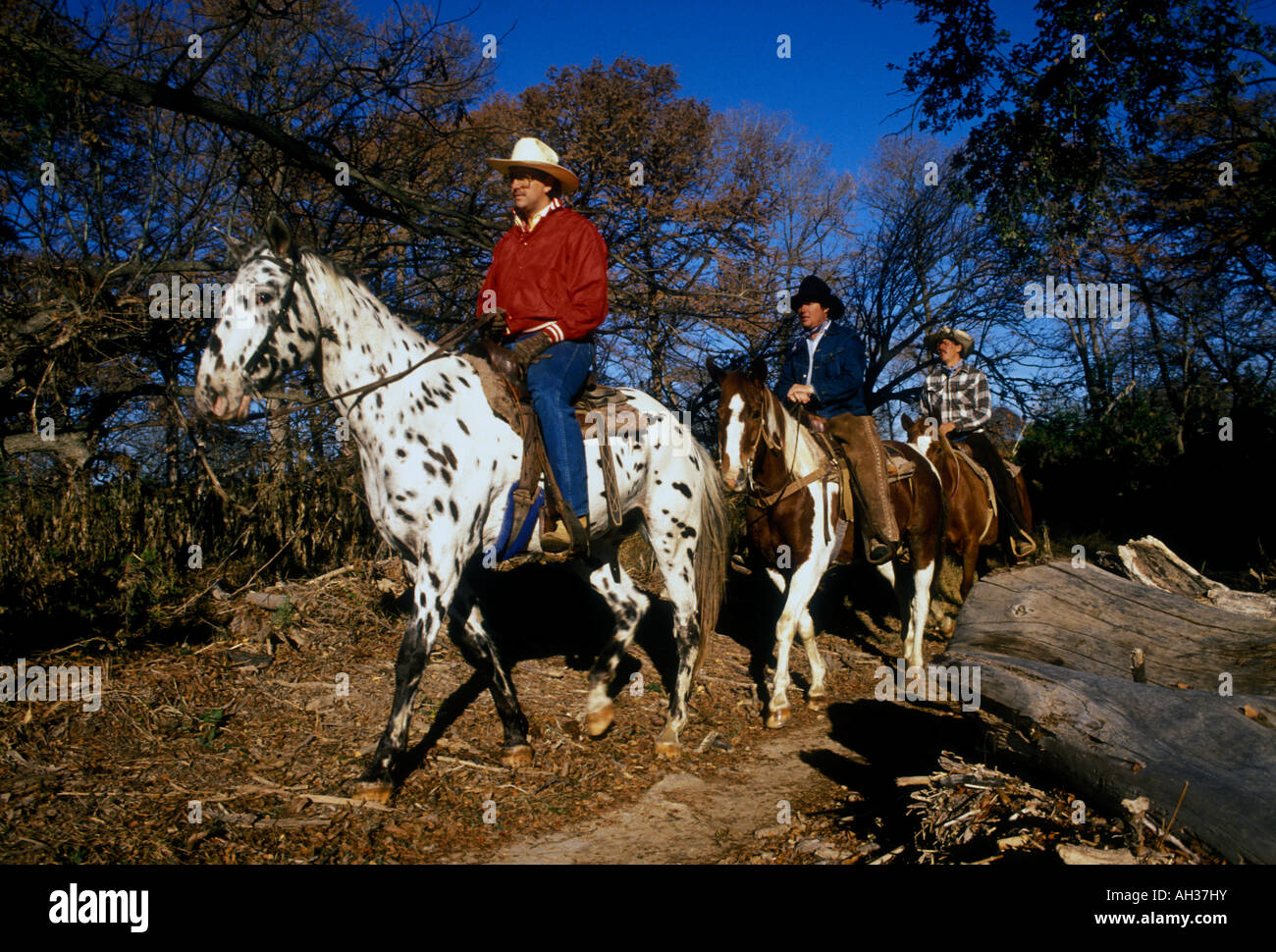 cowboys on horseback, cowboys, horseback, riding horses, Hill Country, town of Bandera, Bandera