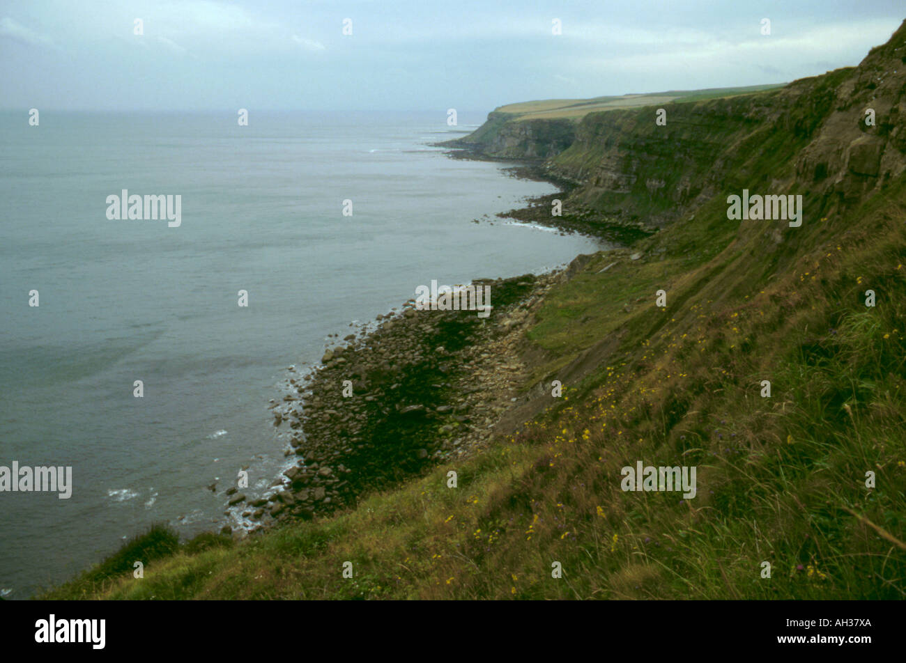 View south of sea cliffs between Whitby and Robin Hoods Bay, North York Moors coast, North Yorkshire, England, UK Stock Photo