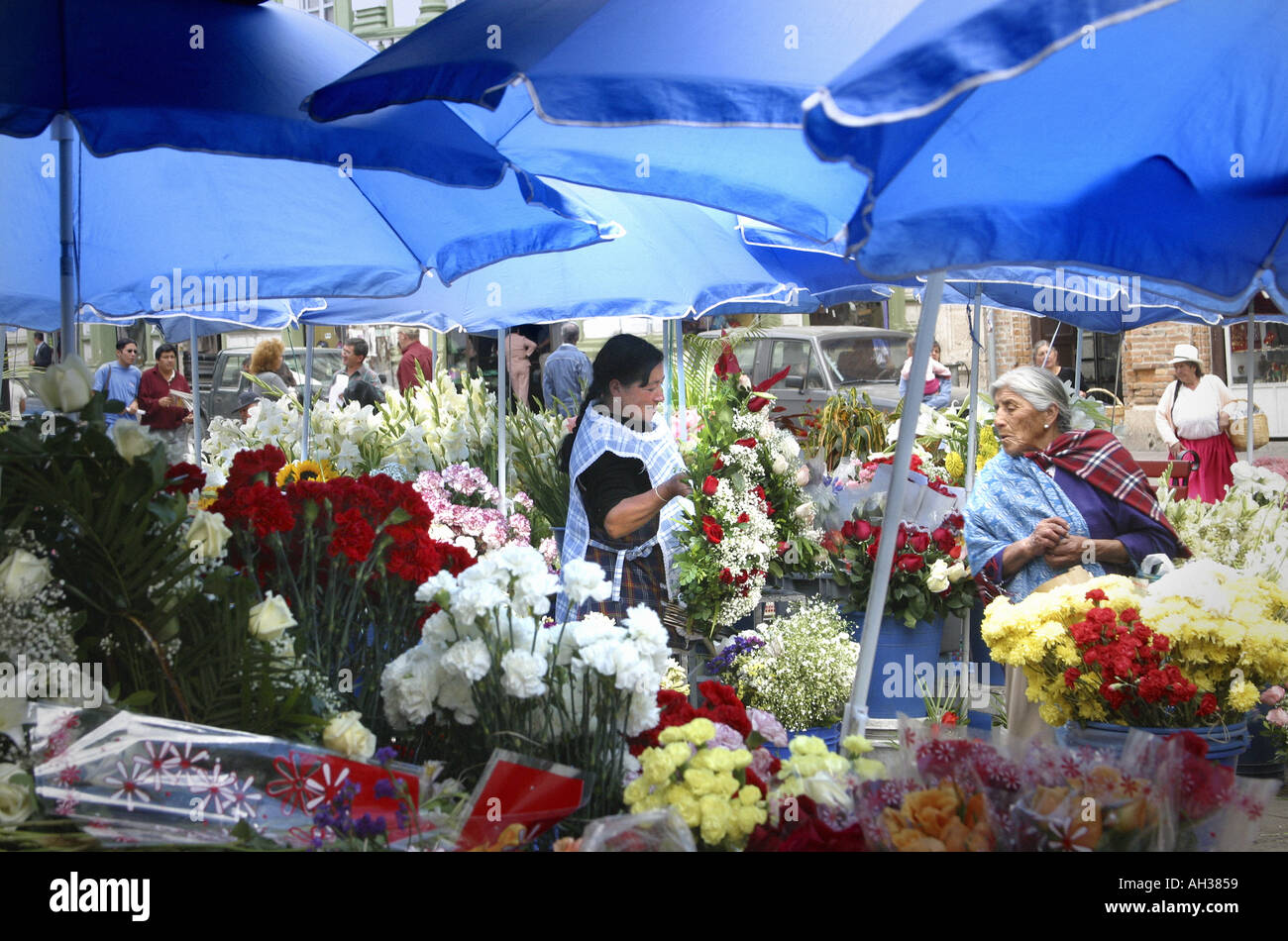 FLOWER MARKET ECUADOR Stock Photo Alamy