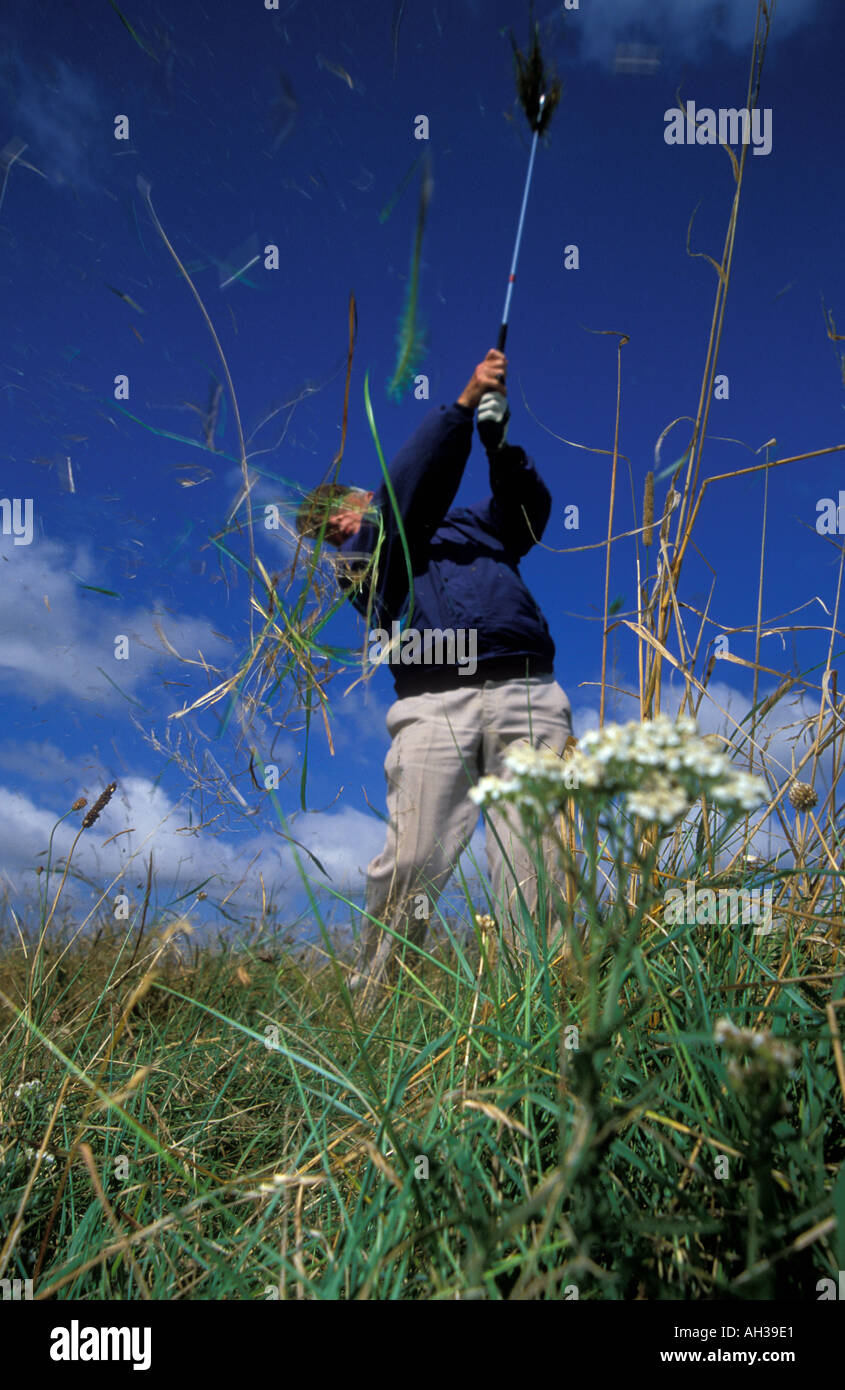 Golfing Rough Golfer in rough hi-res stock photography and images - Alamy