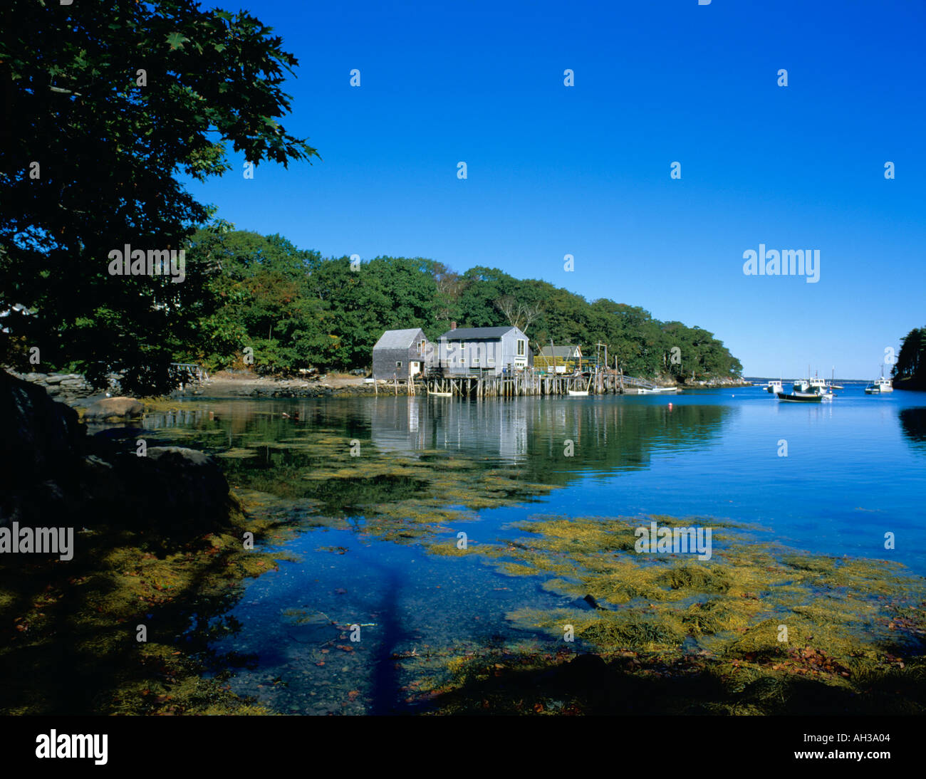 Back Cove Maine Stock Photo Alamy