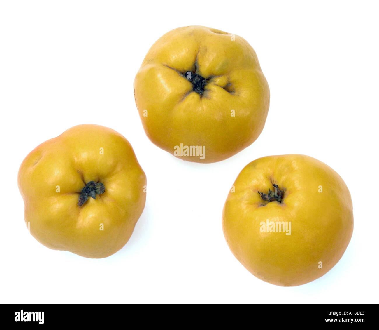 quince-3-three-quinces-cut-out-stock-photo-alamy