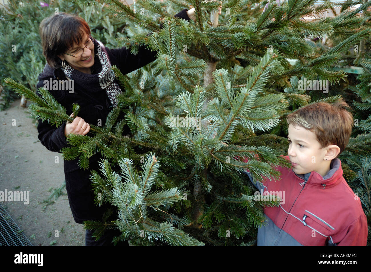 Mother and son buying a christmas tree Stock Photo