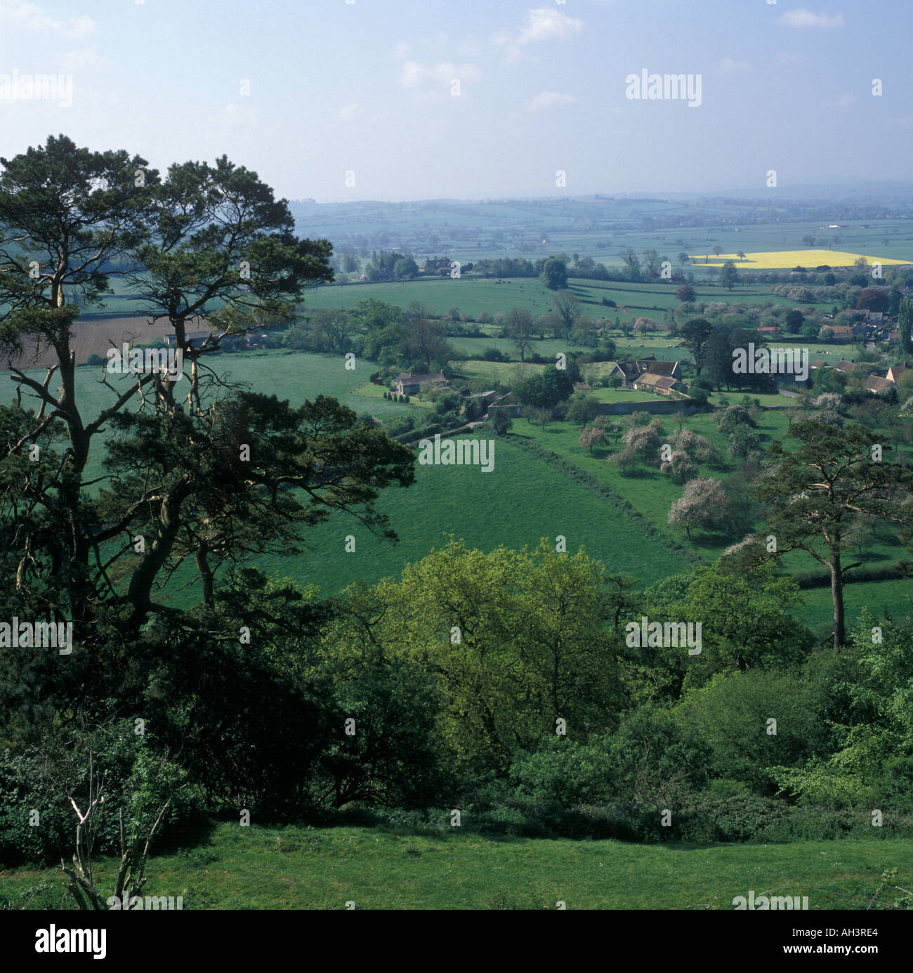 Cadbury castle somerset hires stock photography