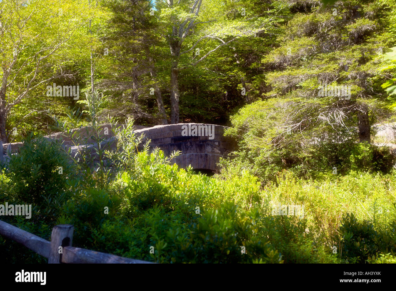 The walkway bridge Stock Photo - Alamy