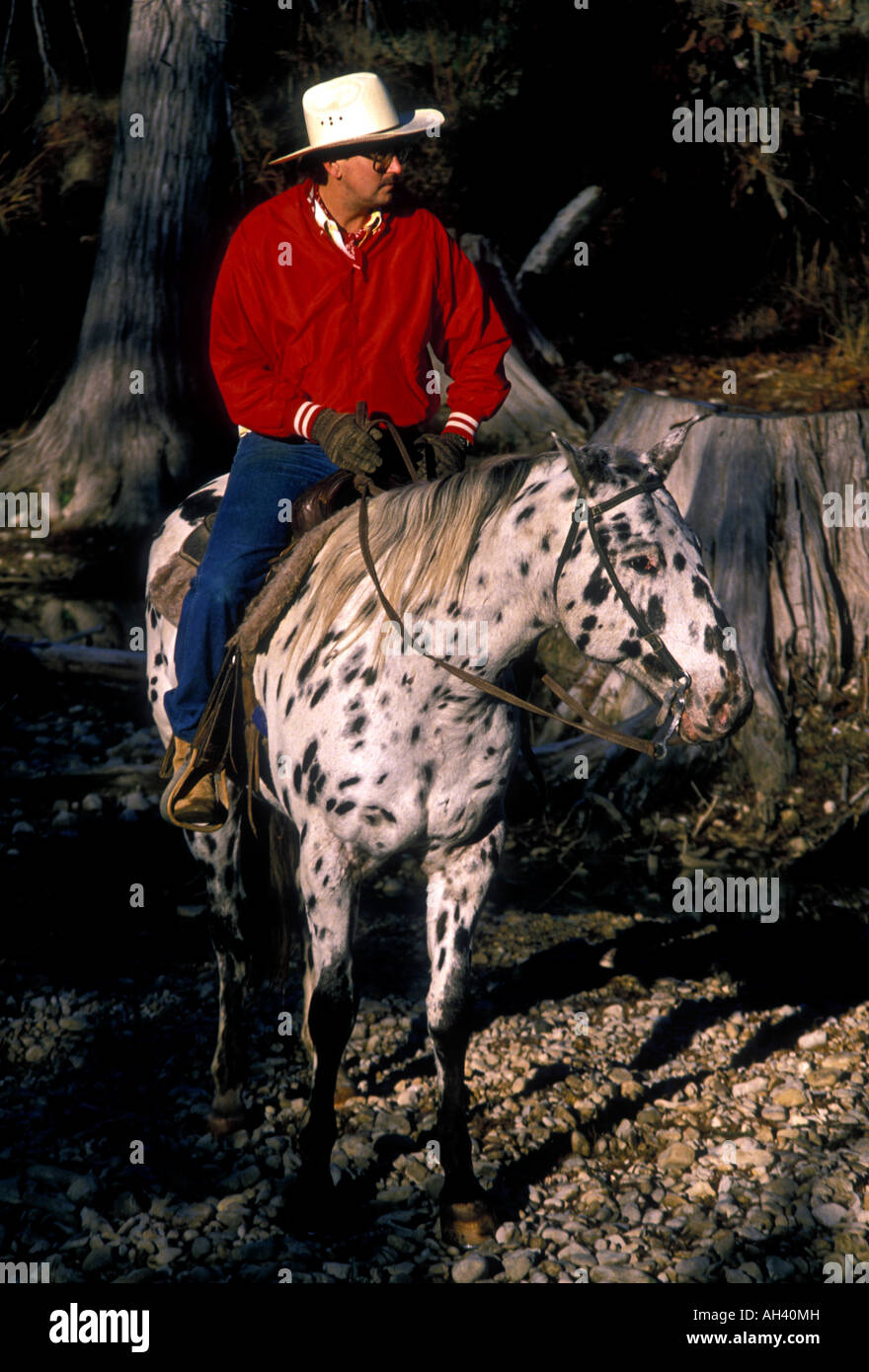 cowboy on horseback, cowboy, horseback, riding horse, Hill Country, town of Bandera, Bandera
