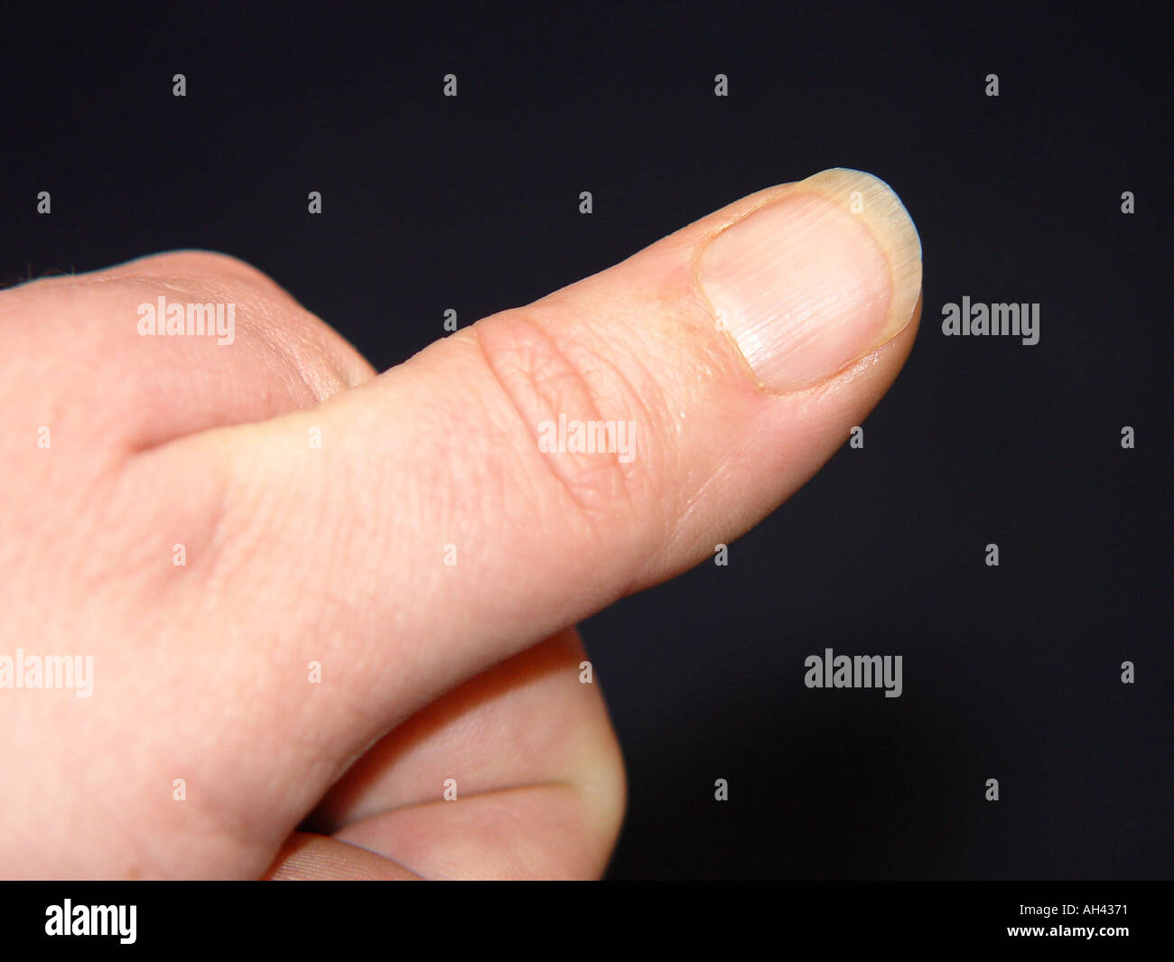 Human anotomy hi-res stock photography and images - Alamy