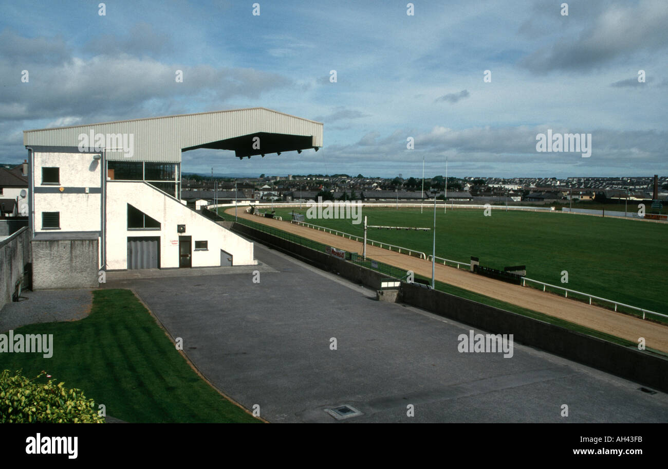 Irish Greyhound High Resolution Stock Photography And Images Alamy