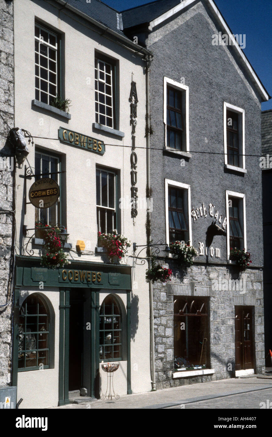 Typical Irish storefronts in bright sun with red and white flowers in