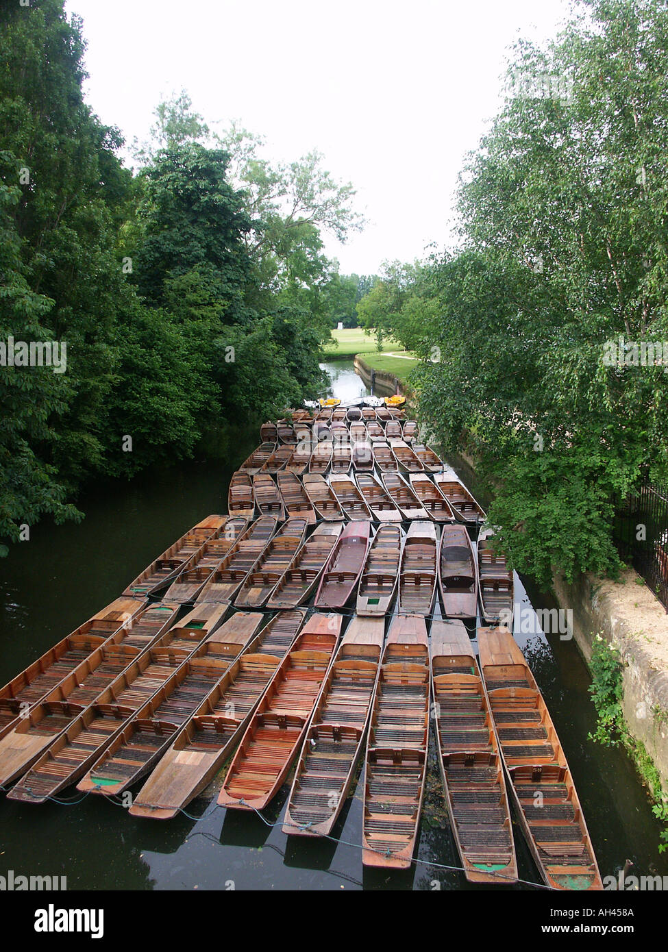 A large number of punts moored on the River Cherwell at Oxford Stock Photo