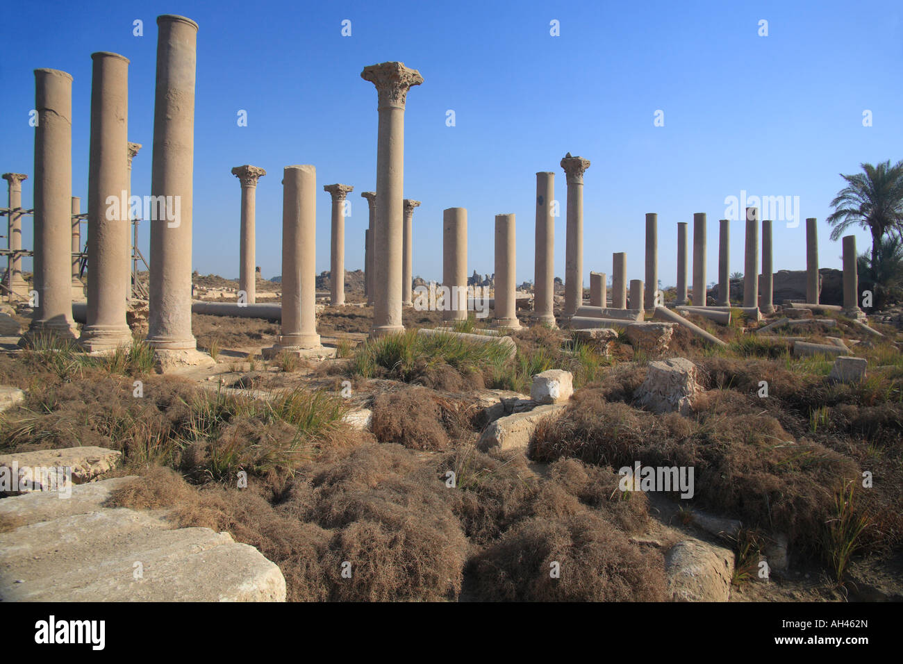 Ruins of the Cathedral (430-440), Hermopolis (al Ashmunein), Egypt Stock Photo