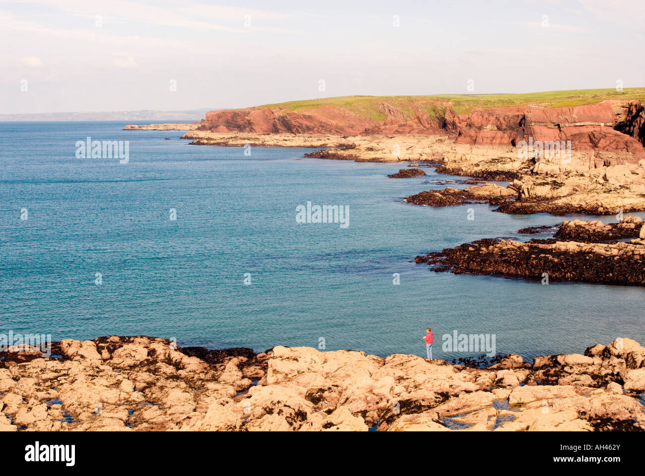 Pembrokeshire stratified rocks hi-res stock photography and images - Alamy