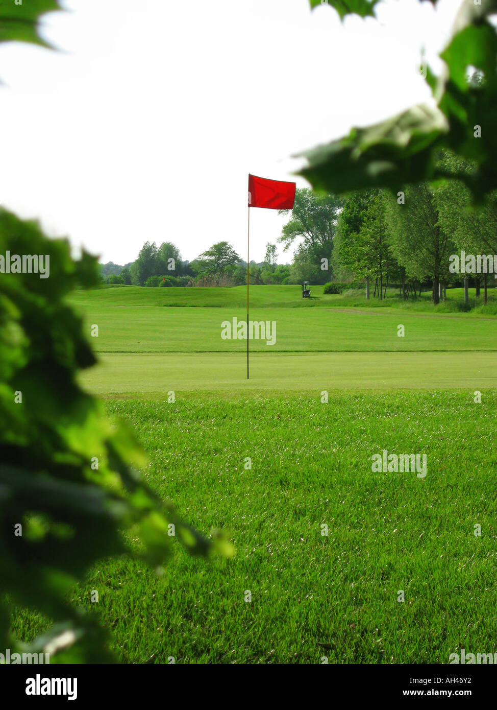 green with flag on golf range court Grün mit Fahne auf Golfplatz Stock Photo