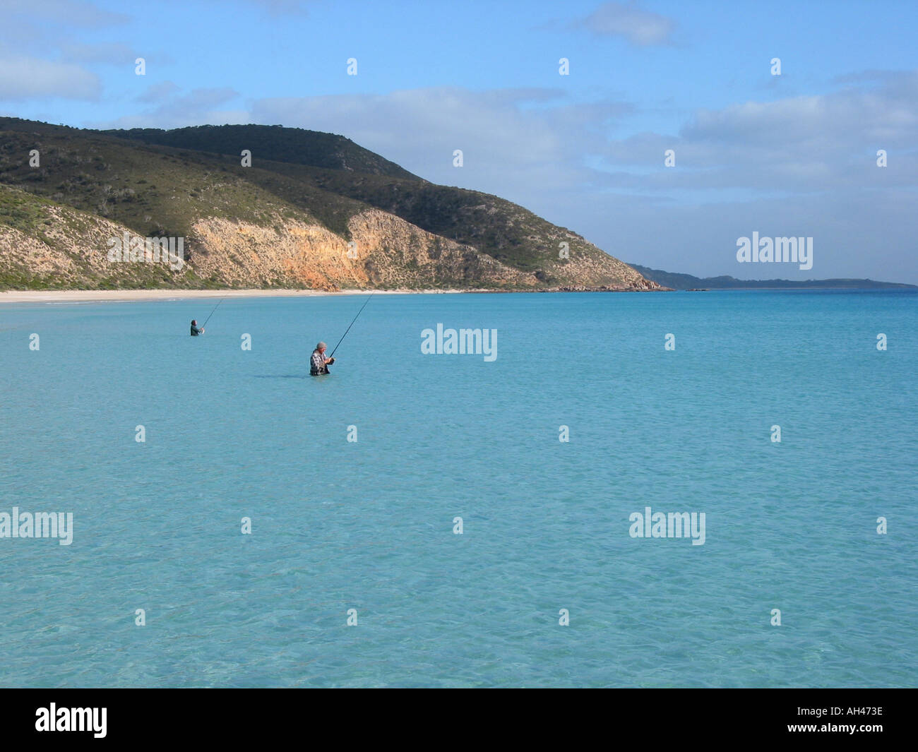 Thistle Island High resolution digital camera photo Stock Photo