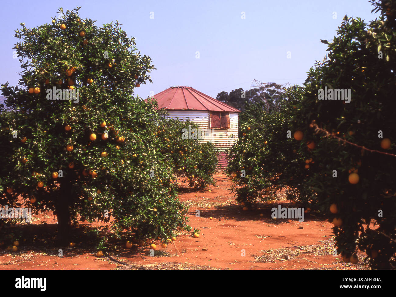 Fruit farm africa hires stock photography and images Alamy