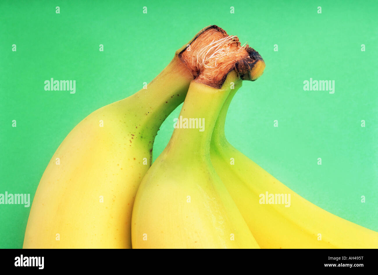 Close up of banana stems Stock Photo
