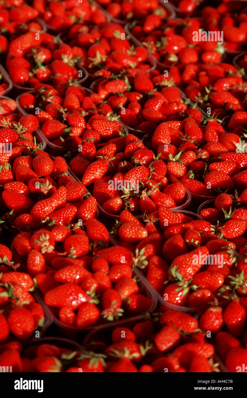 Strawberries France Stock Photo