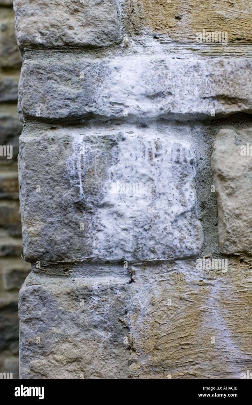 Efflorescence stains on brickwork produced by salts leaking from cement