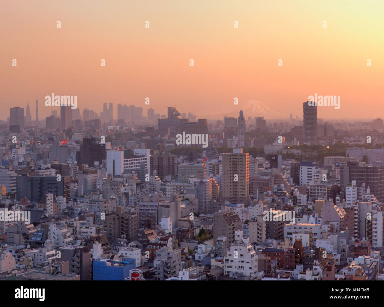 view of Tokyo and Mt. Fuji at dusk, Tokyo, Japan Stock Photo