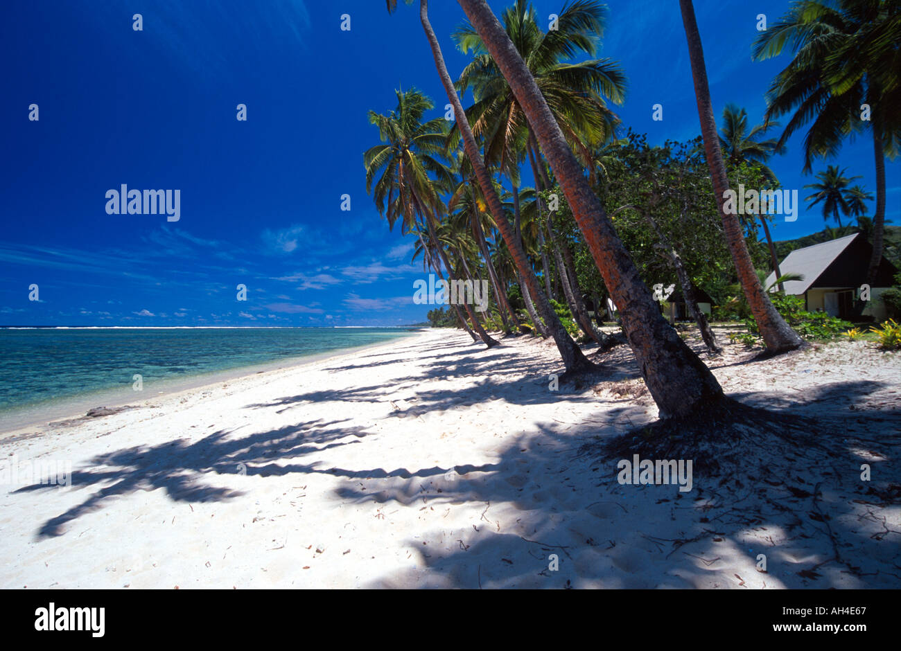 Coral Coast Tambua Sands Resort Palm Trees and Shadows on Beach Stock Photo
