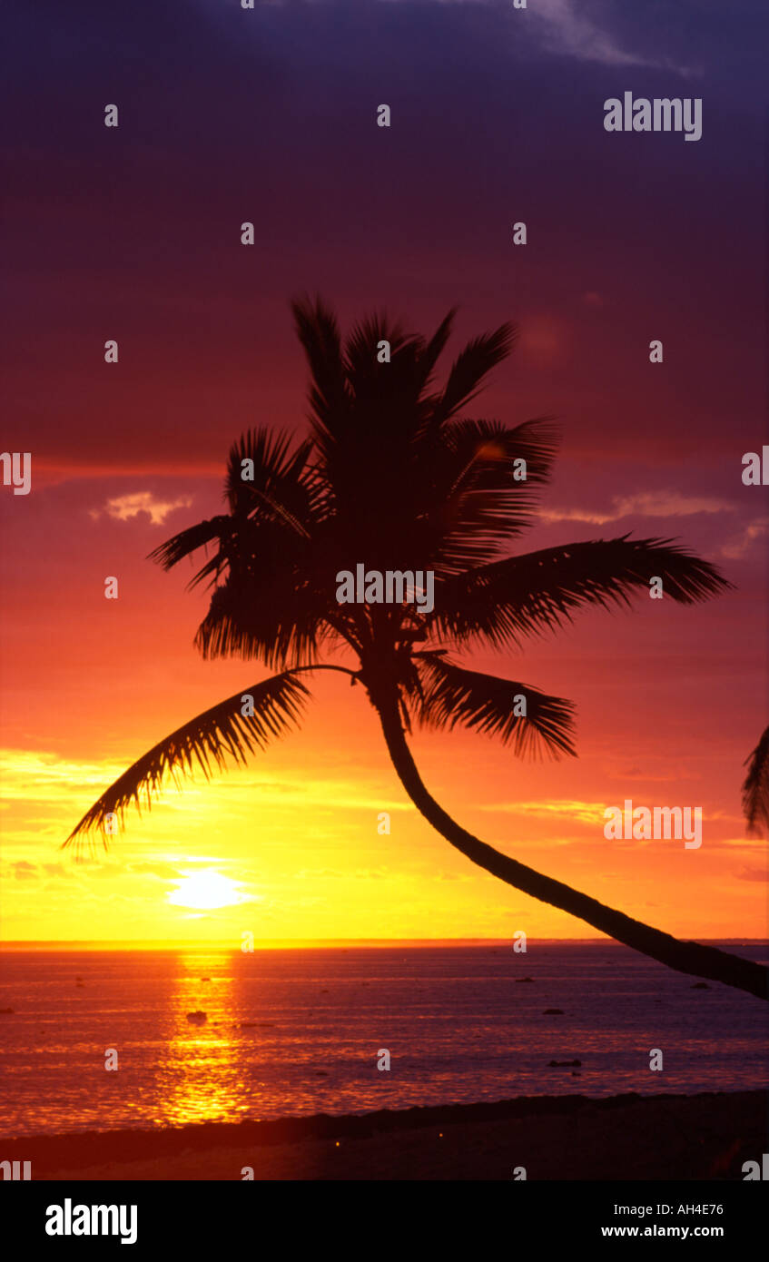 Sunset and Palm Trees Coral Coast Viti Levu Fiji Stock Photo