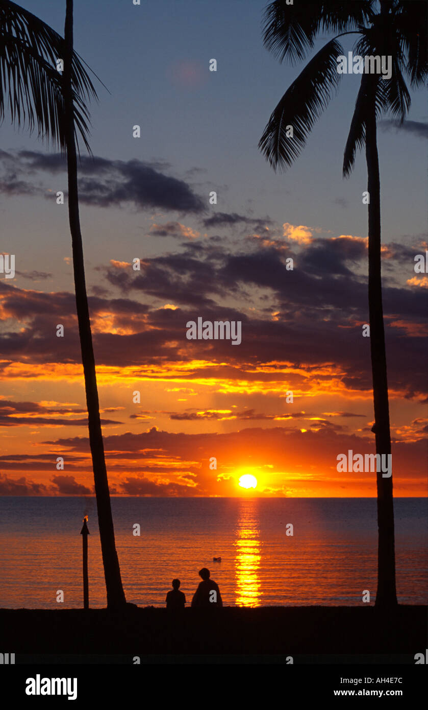 Palm Trees and Sunset Denerau Island Stock Photo