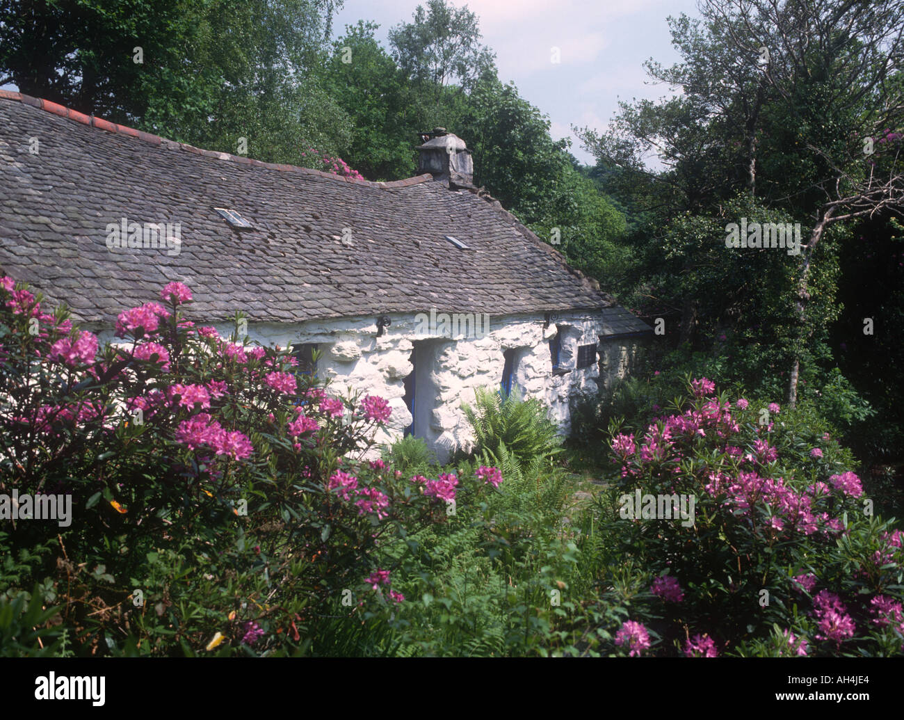 Welsh Stone and Whitewash Cottage Gwynant Valley Snowdonia North West Wales Stock Photo