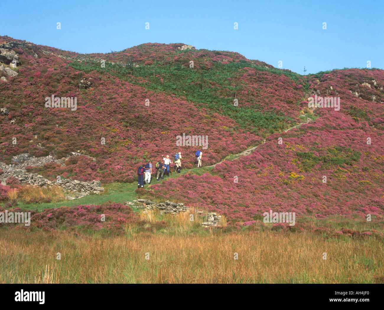 Visit Barmouth Hi res Stock Photography And Images Alamy visit-barmouth-hi-res-stock-photography-and-images-alamy