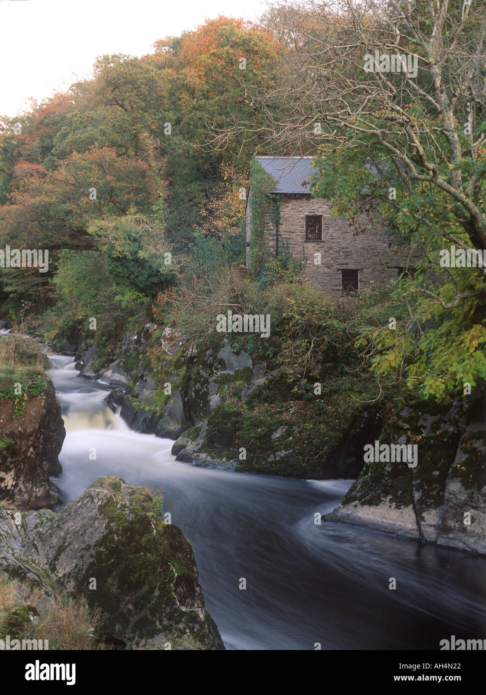 House by Riverside Cenarth Falls Carmarthenshire West Wales Stock Photo