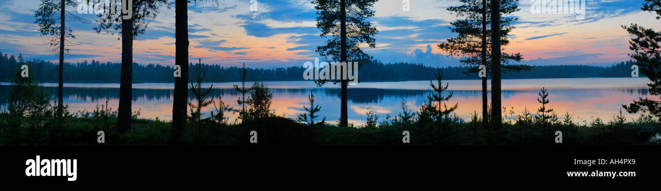 panoramic view over lake and conifer at dusk, Arvidsjaur, Norrland, Sweden Stock Photo