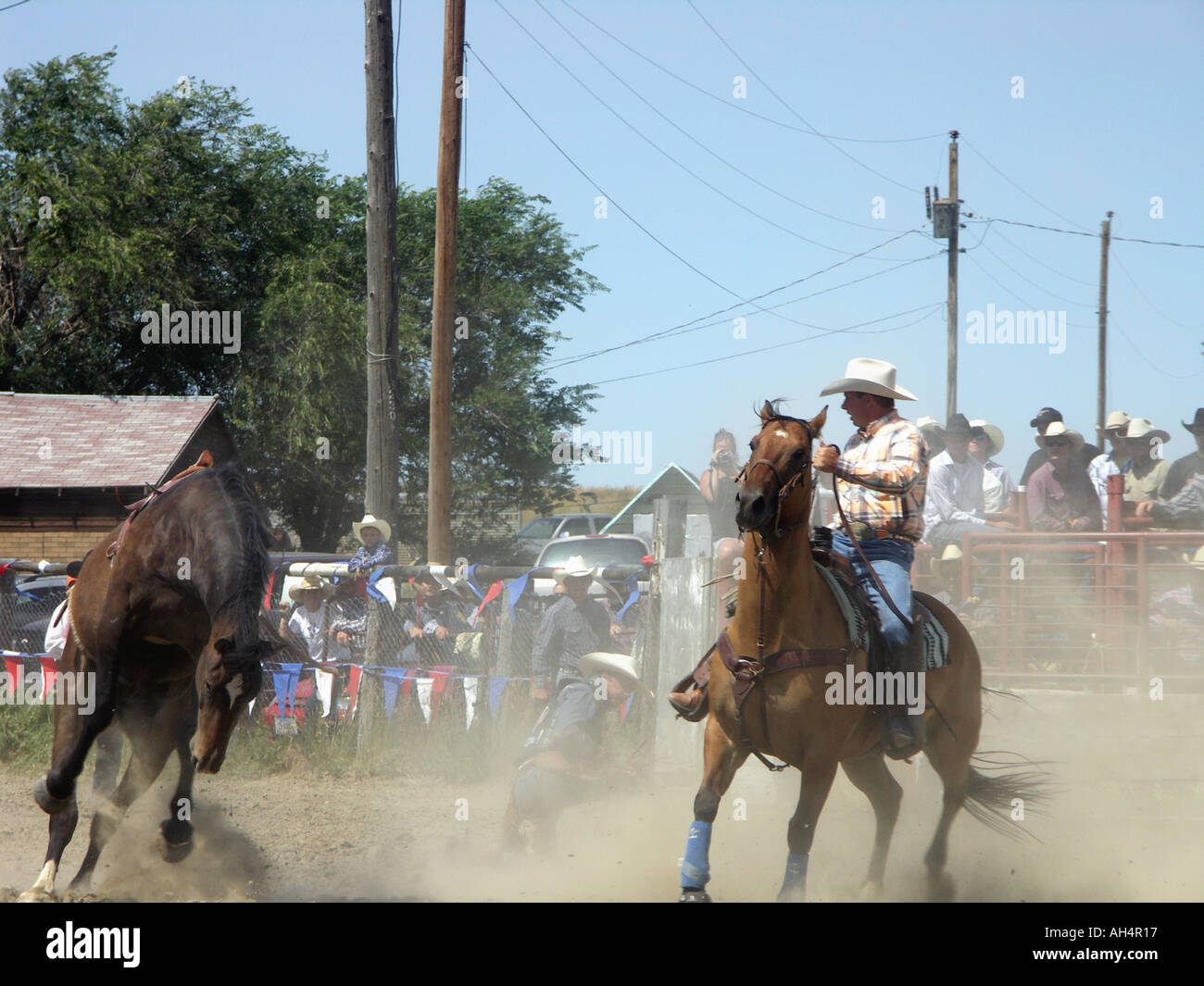 Kicking Up Dust Stock Photo Alamy