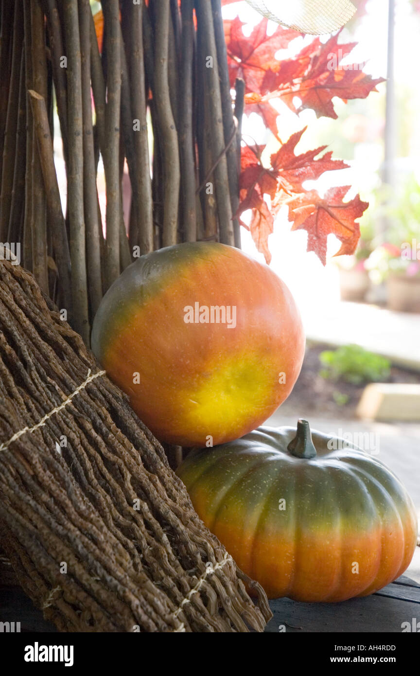 Ornamental autumn display hi-res stock photography and images - Alamy