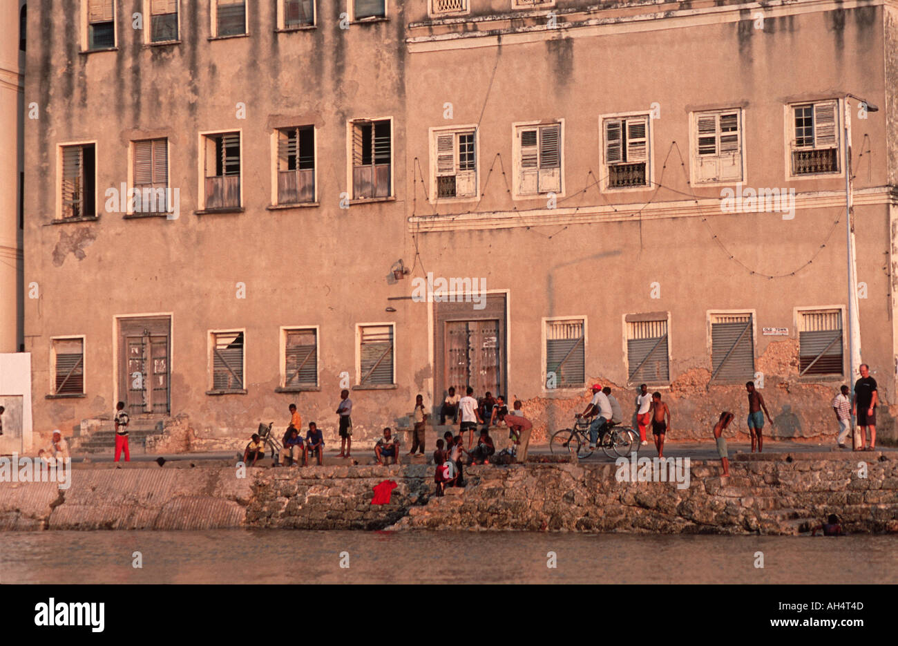Emma Stone Oscar Lalalanf Speech | TikTok, image size:1300x935