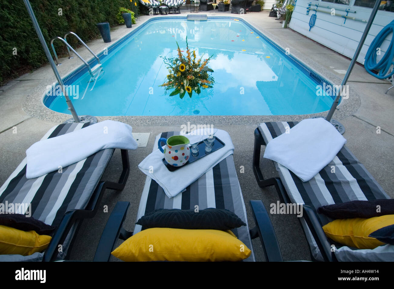 Flowers pool lounge chairs and summer time heat Stock Photo