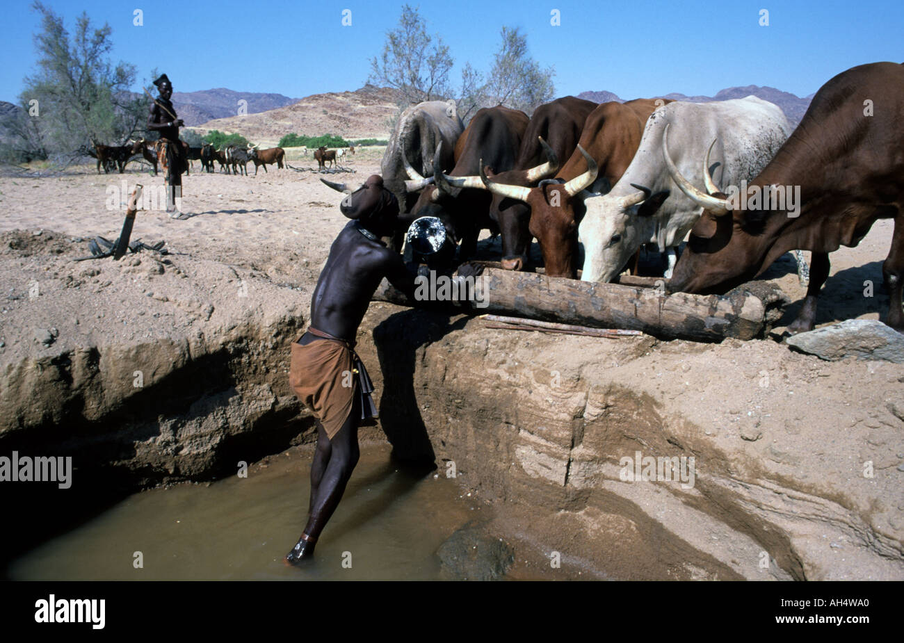 Himba men hi-res stock photography and images - Alamy