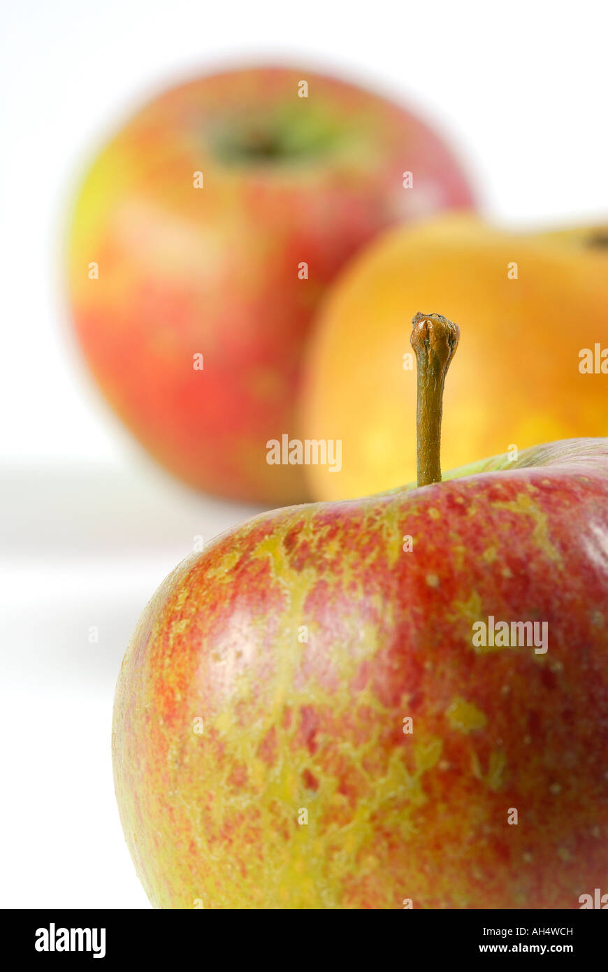 selection of english apples Stock Photo
