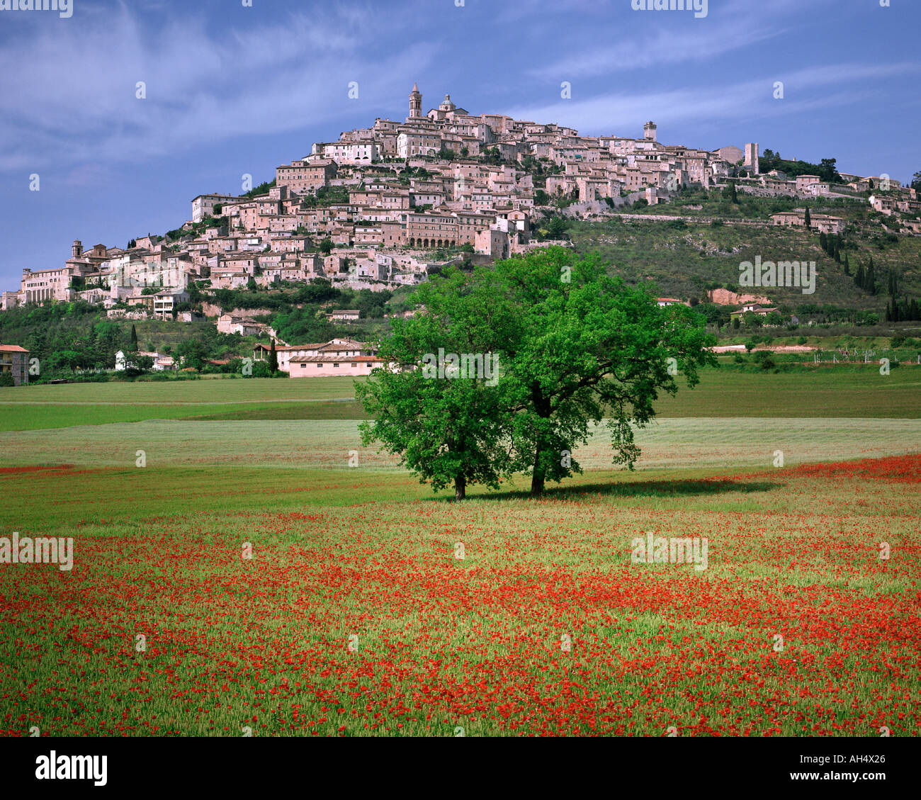 IT - UMBRIA: Trevi village Stock Photo